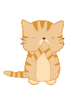 猫の画像